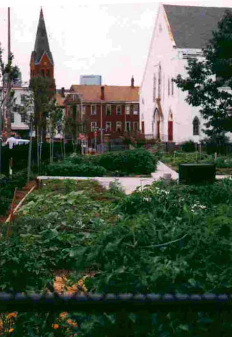 Roxbury Community Garden